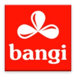 bangi news android application logo